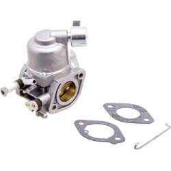 Carburateur BRIGGS ET STRATTON 597126