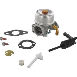 Carburateur BRIGGS ET STRATTON 591299