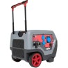 Alternateur Q6500 BRIGGS ET STRATTON 030796