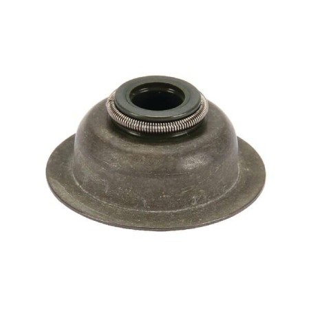 AJUSA 12020100 Joint De Queue De Soupape – Bague D'Étanchéité Soupape Compatible Peugeot, Renault, Dacia, Nissan