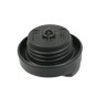 Bouchon de réservoir FENDT G411201060110