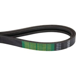 Courroie JOHN DEERE M131808
