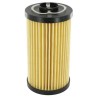 Filtre MP-FILTRI MF1002P25NB