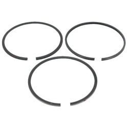 Bague BRIGGS ET STRATTON 792073