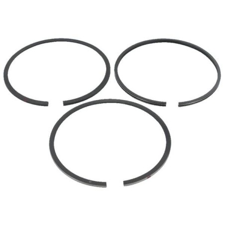 Bague BRIGGS ET STRATTON 792073