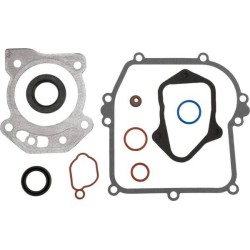Jeu de joints BRIGGS ET STRATTON 84006591