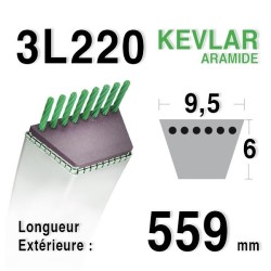 Courroie 3l22 - 9,5 mm x 559 mm 