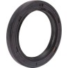 Joint BRIGGS ET STRATTON 491019