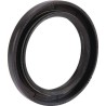 Joint BRIGGS ET STRATTON 491019