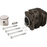 Kit STIHL 42280201200