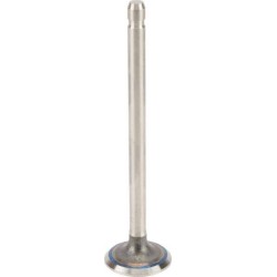 Soupape d'échappement BRIGGS ET STRATTON 691796