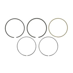Segments BRIGGS ET STRATTON 795431