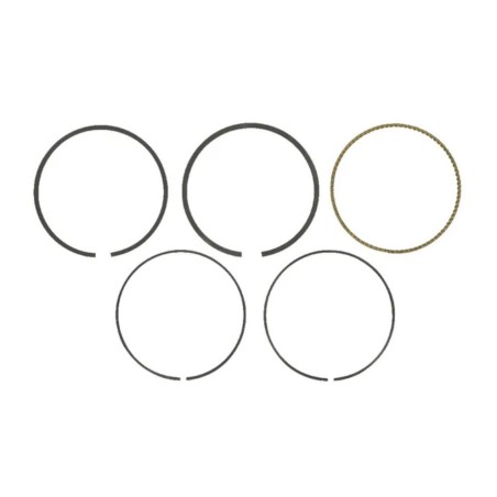 Segments BRIGGS ET STRATTON 795431