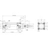 Vérin UNIVERSEL DN32100CM