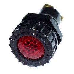 Voyant lumineux PNEUTRON 21300101PN