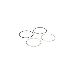 Kit de segments BRIGGS ET STRATTON 792649