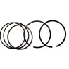 Segments